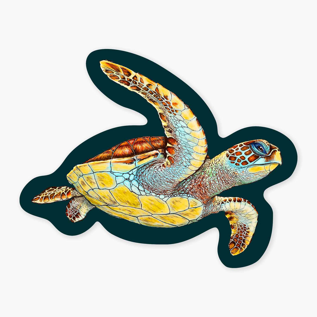 Loggerhead - 3" Art Sticker