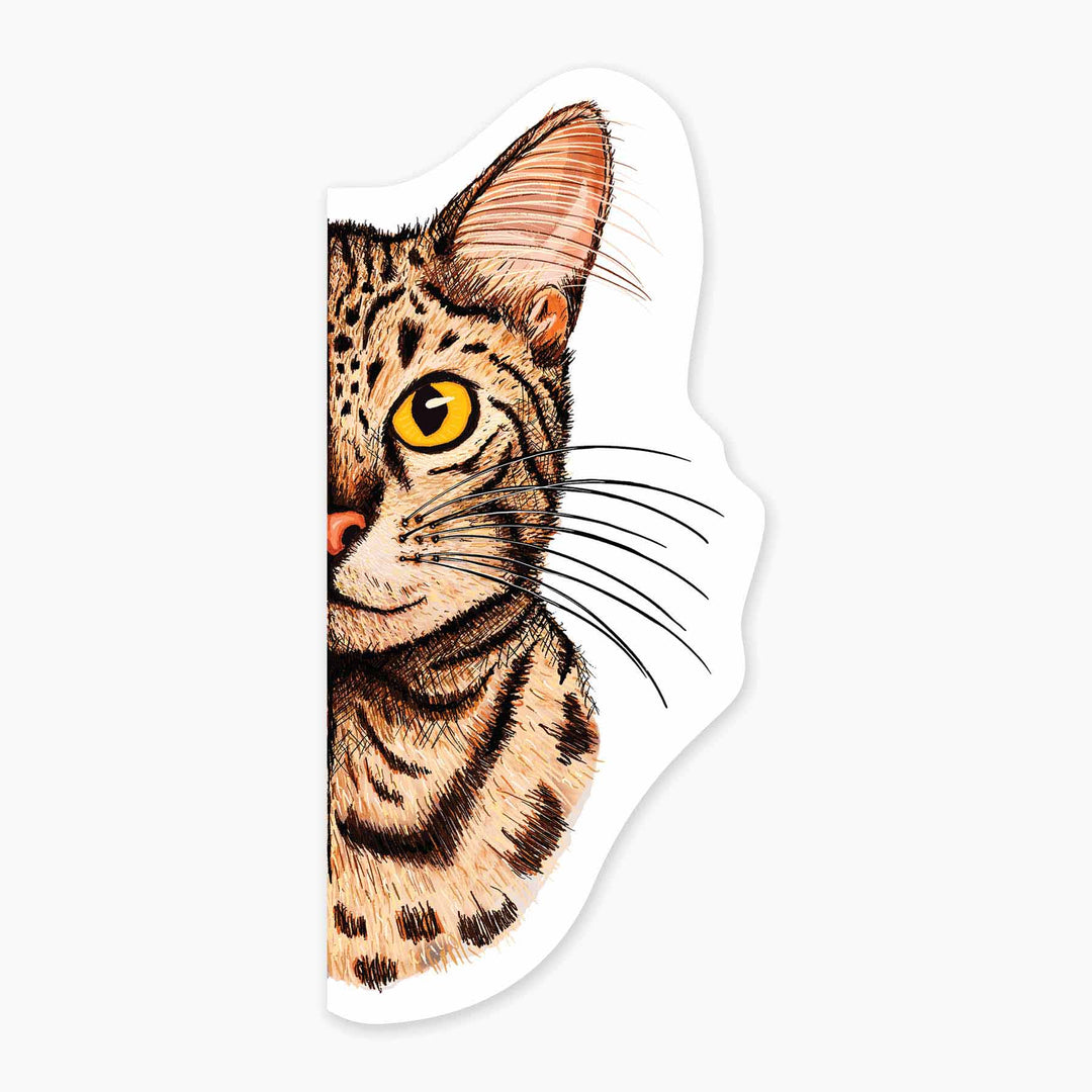 Pitten the Cat - 3" Art Sticker