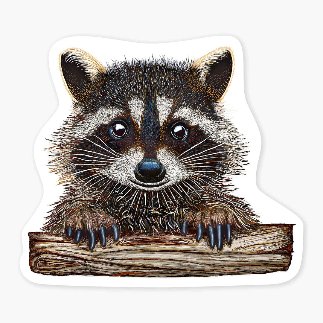 Rocky the Raccoon- 3" Art Sticker