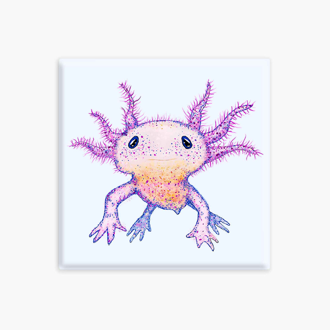 Axolotl - Magnet