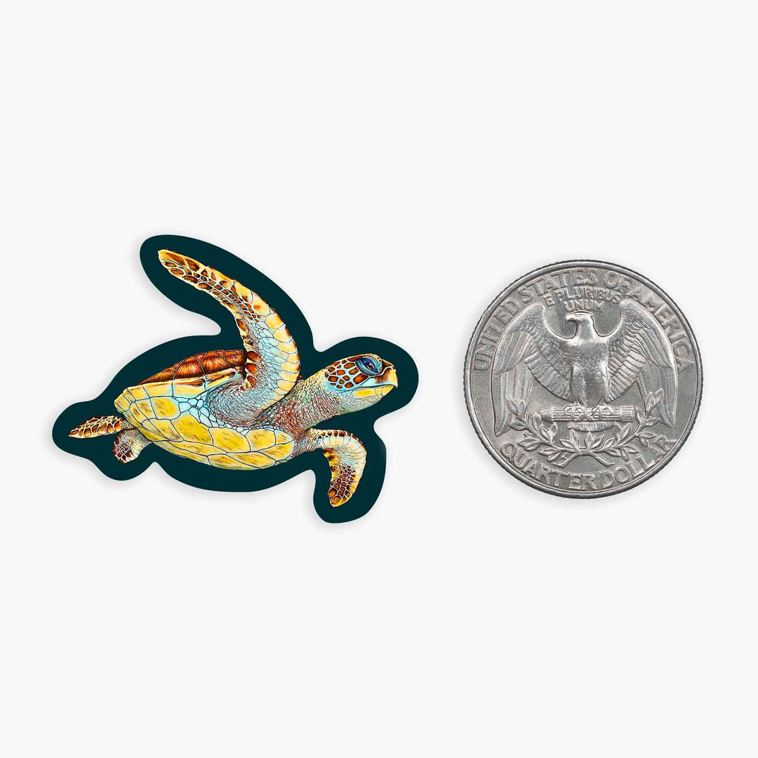 Loggerhead - Mini Sticker