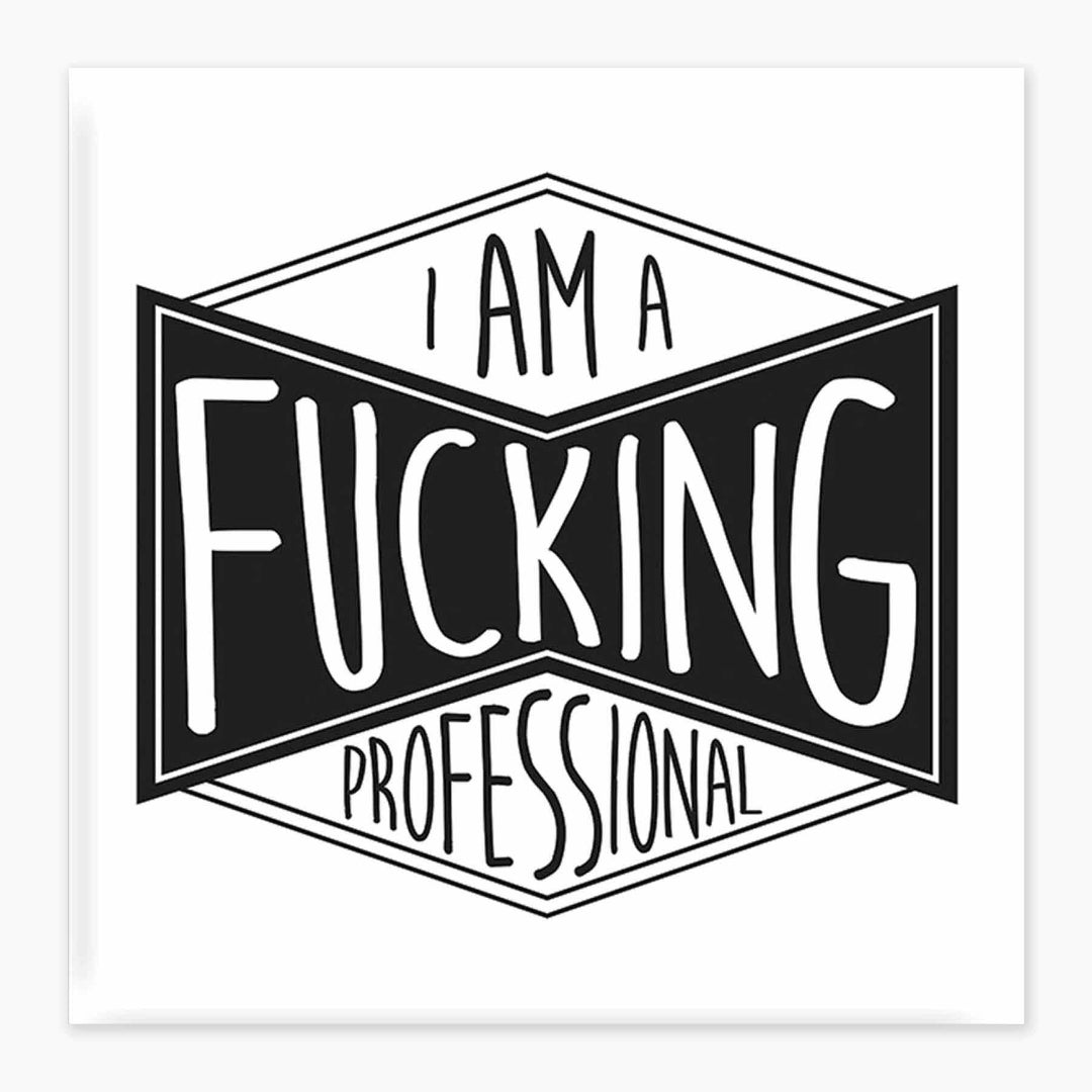 Fucking Professional - Magnet