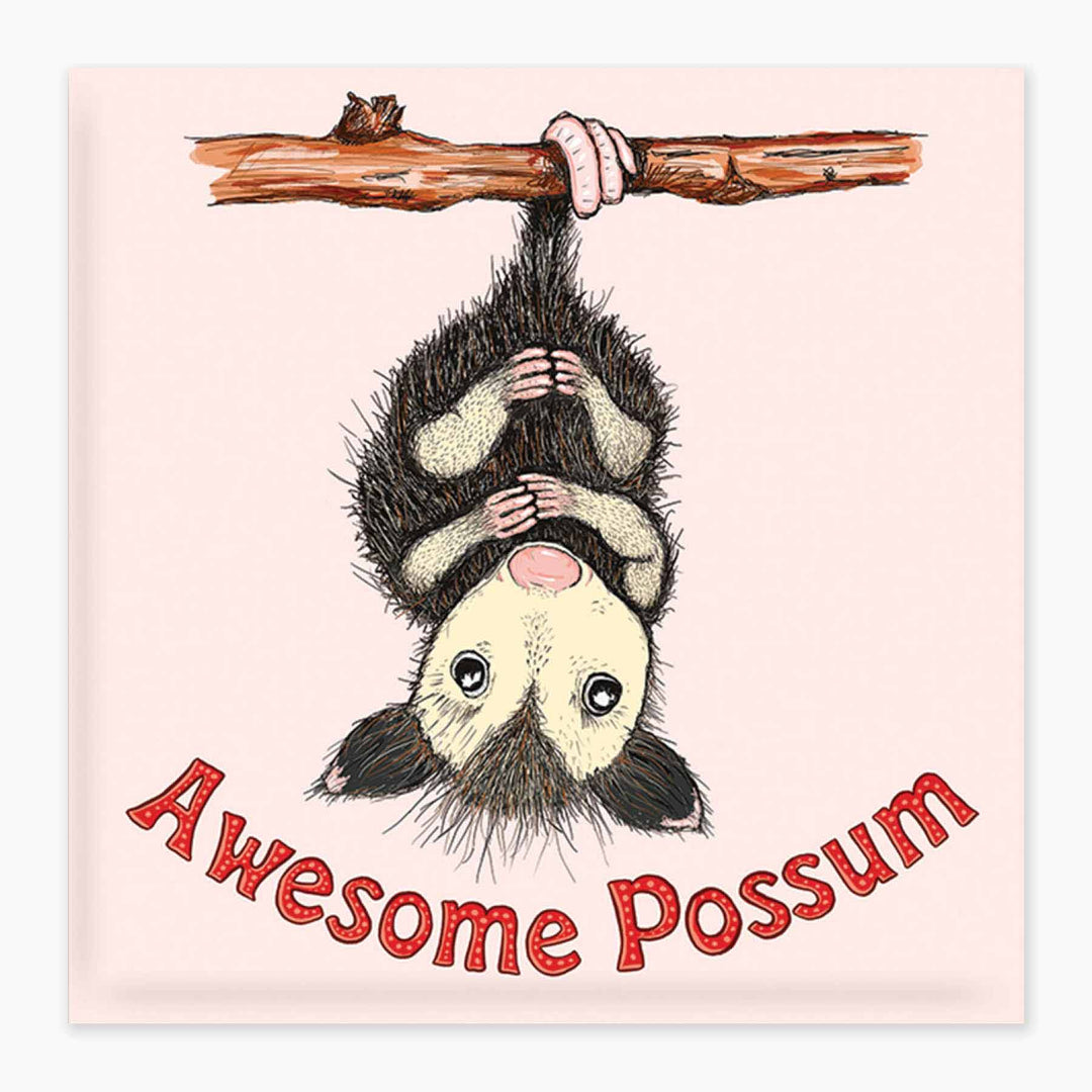 Possum - Magnet