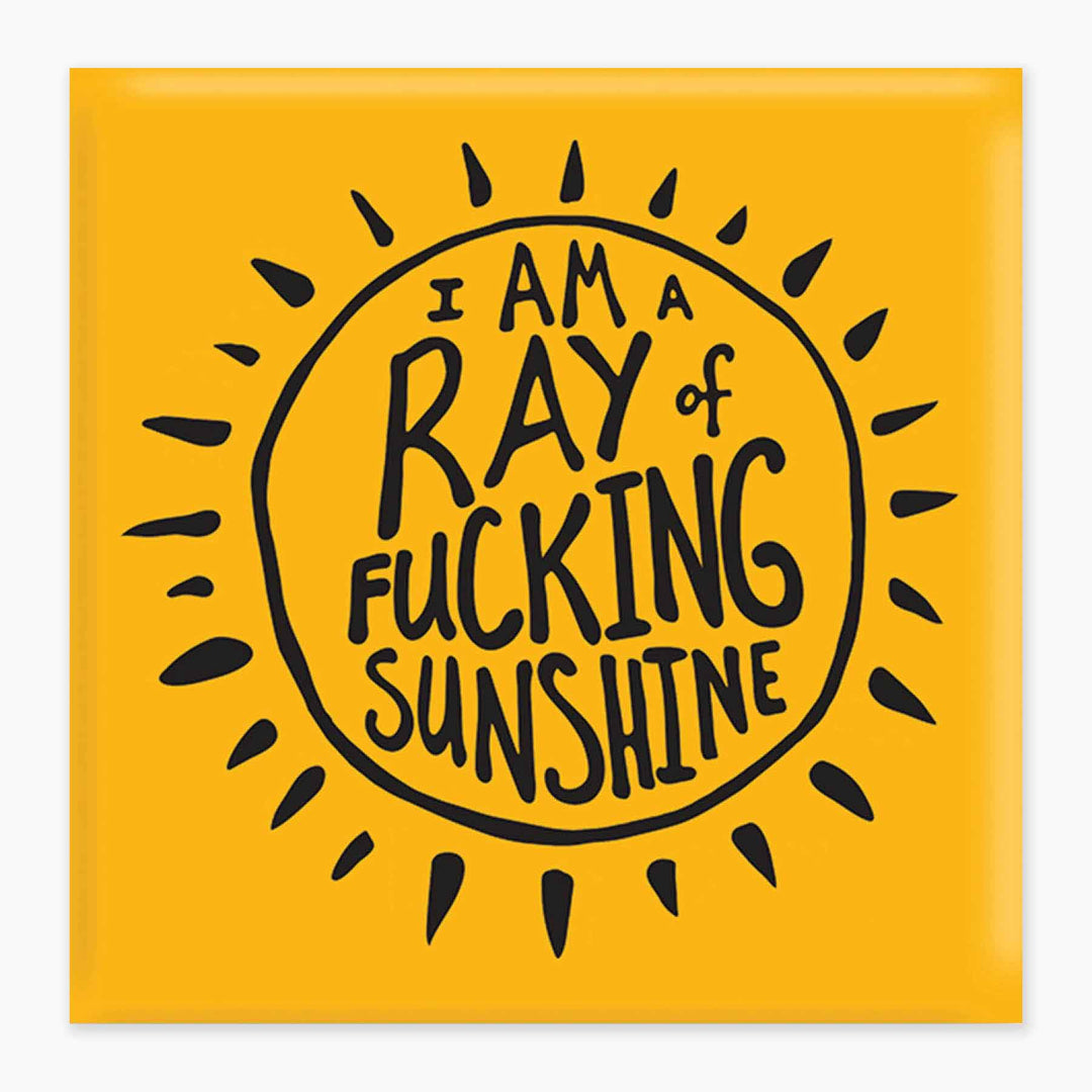 Fucking Sunshine - Magnet