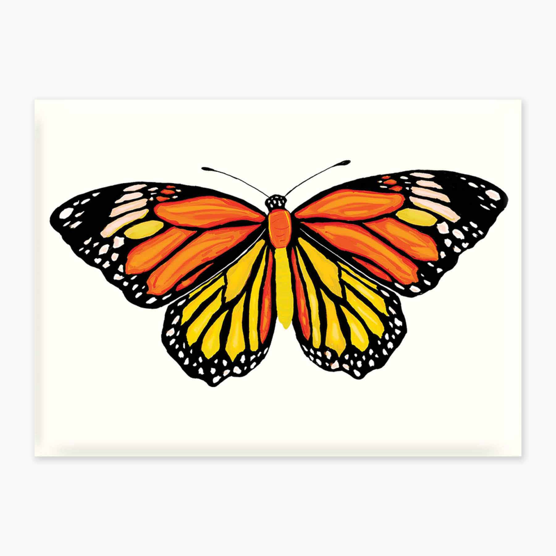 Animal Magnets - Cat, Goat, Cow, Butterfly, Bear, Bat – Nice Enough ...