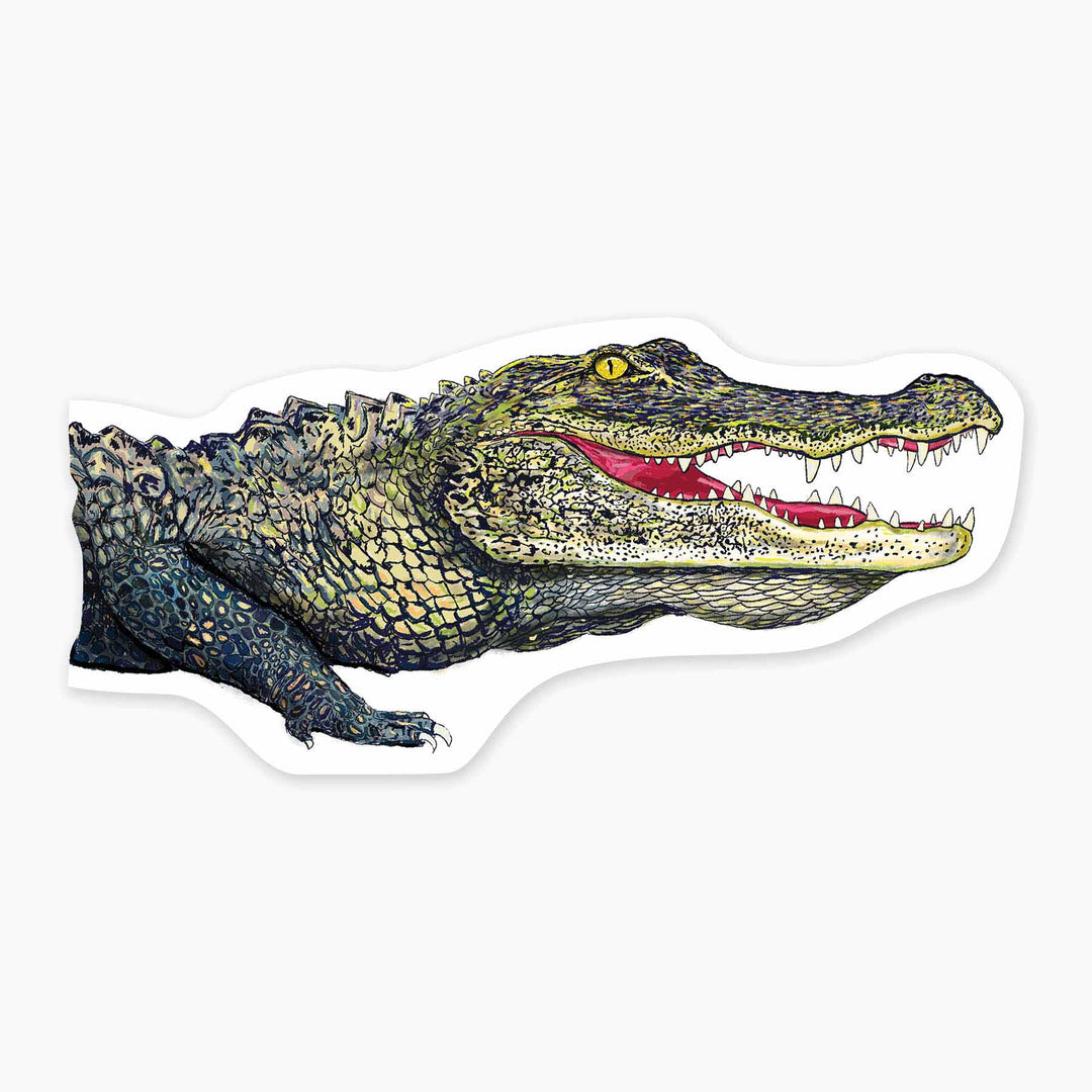 Alligator - 3" Art Sticker