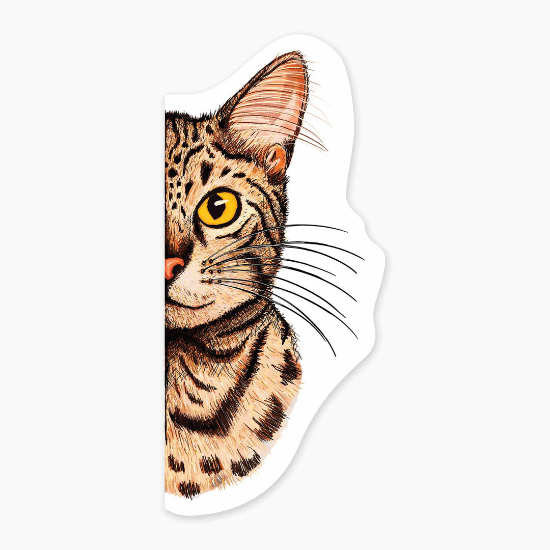 Pitten the Cat - 3" High Quality Decal Sticker for Laptops