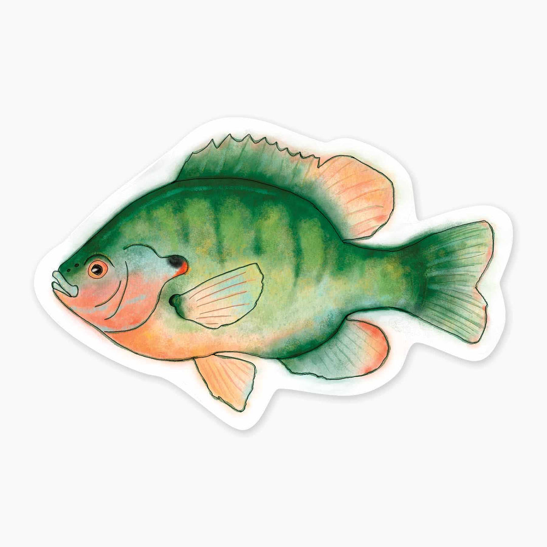 Sunfish - 3" Art Sticker