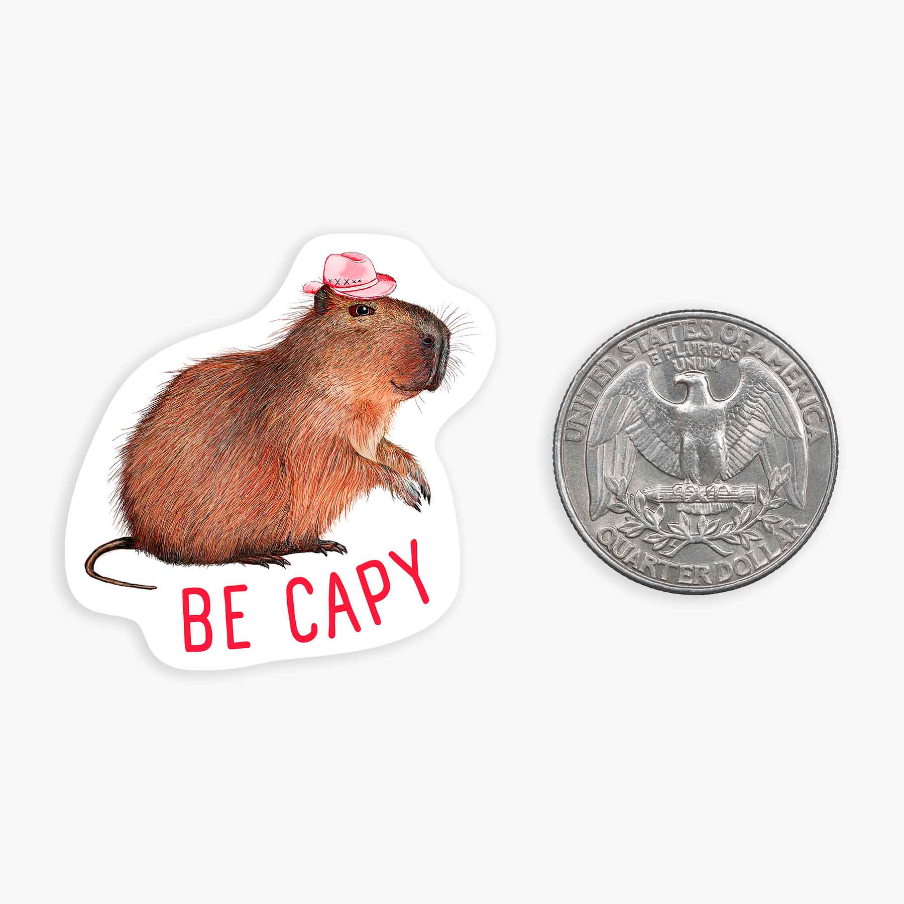 Capix Sticker Mini CAPYBARA Vinyl Art Sticker for Your Cell Phone - Durable and ...