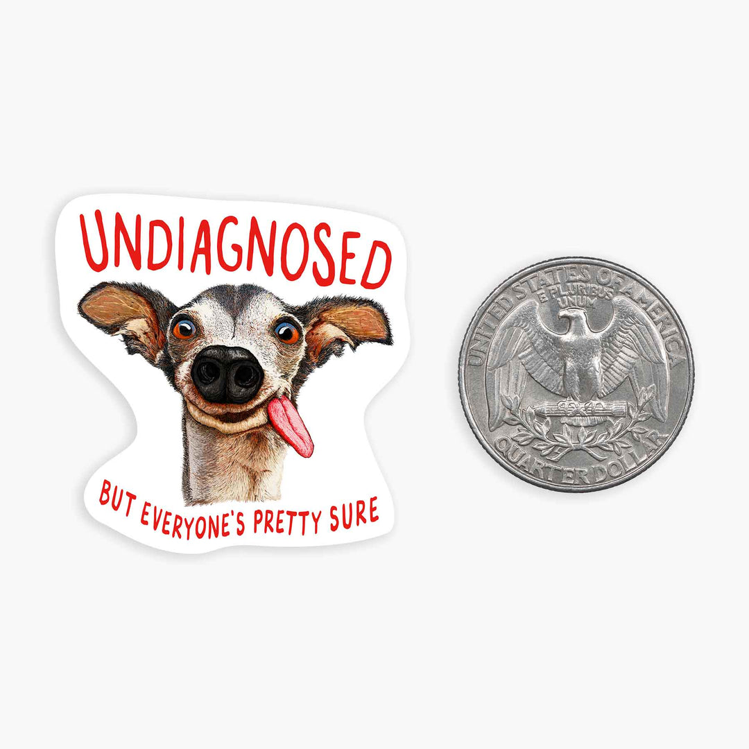 Undiagnosed - Mini Sticker