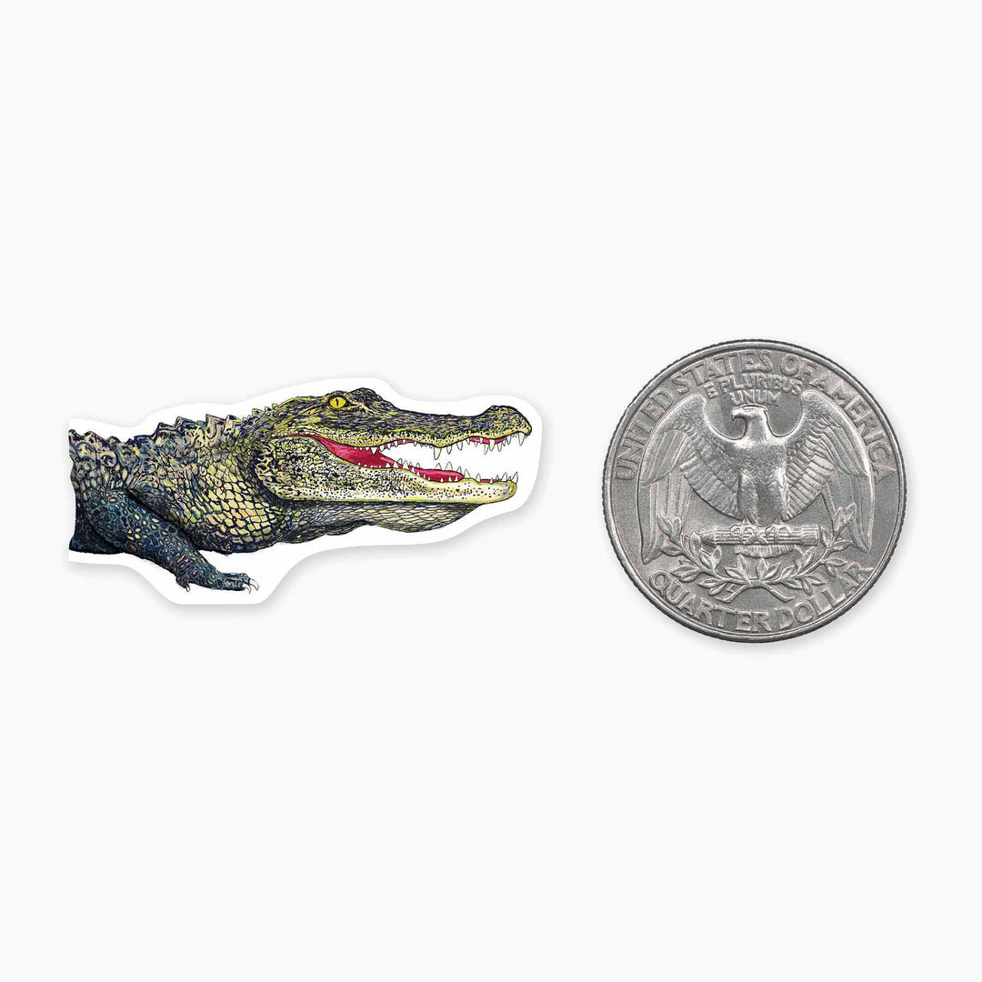 Alligator - Mini Sticker
