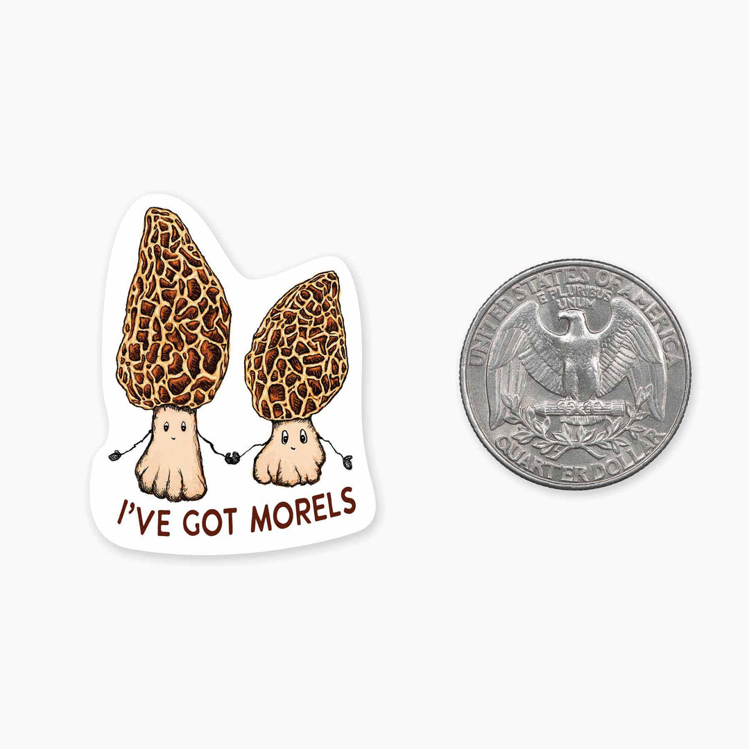 Morels - Mini Sticker
