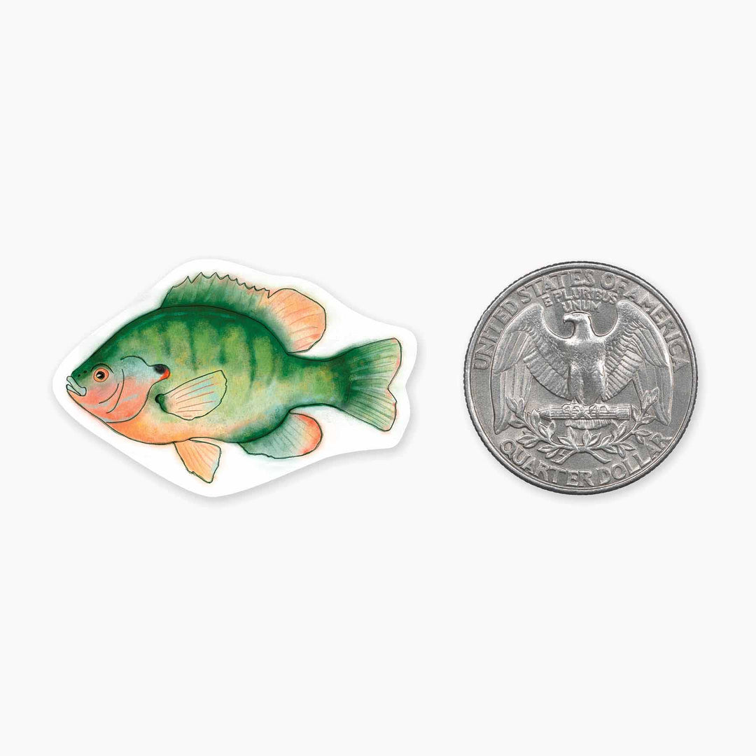 Sunfish - Mini Sticker